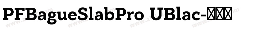 PFBagueSlabPro UBlac字体转换